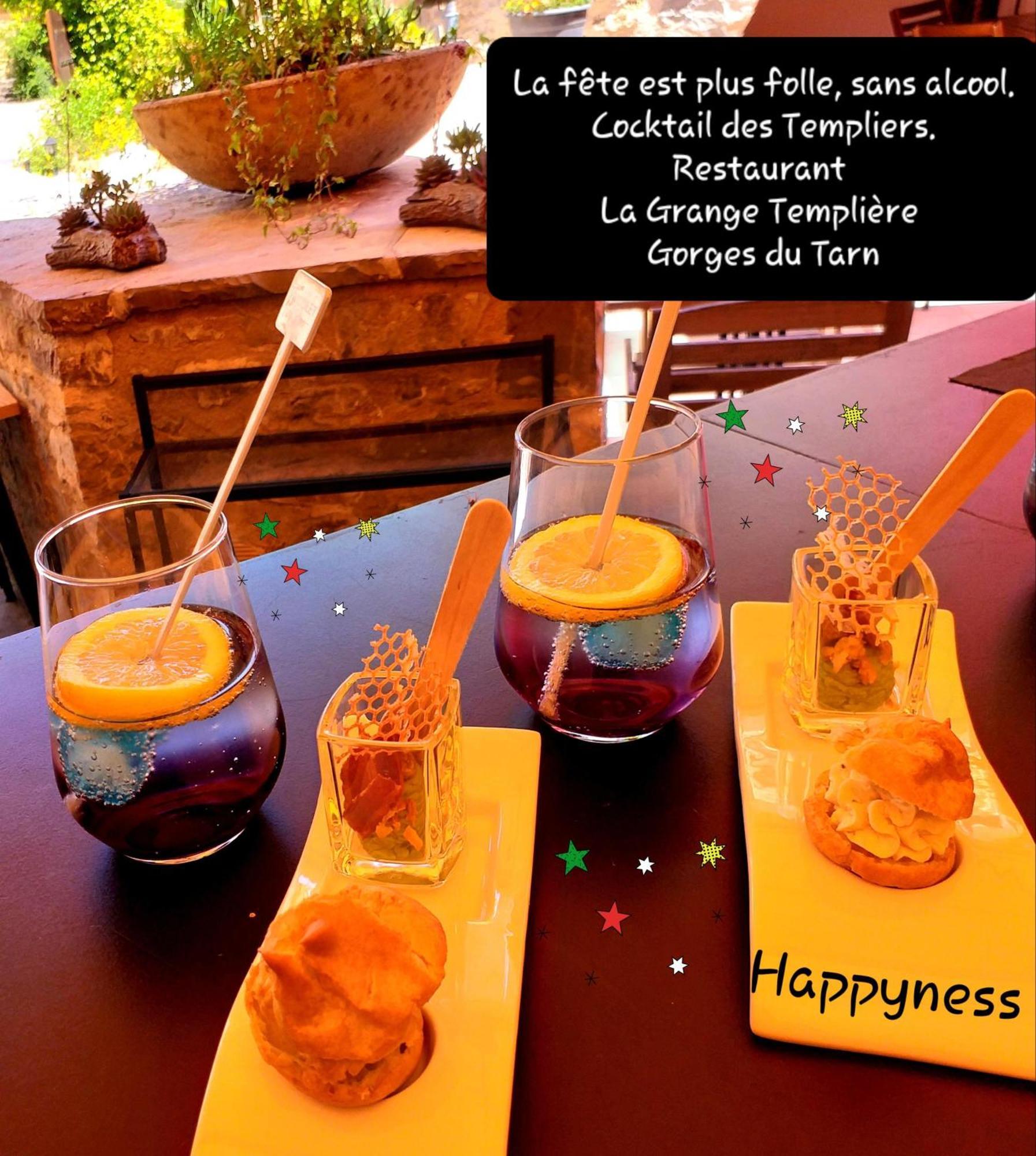 Peyreleau La Grange Templiere 2018 Bed & Breakfast エクステリア 写真